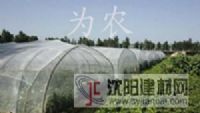 乙烯防虫网 塑料防虫网 防虫纱网